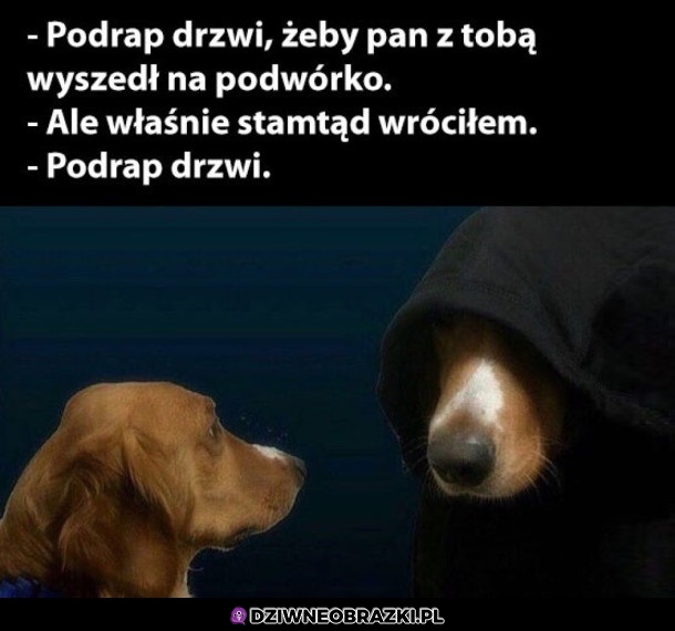 Zrób to