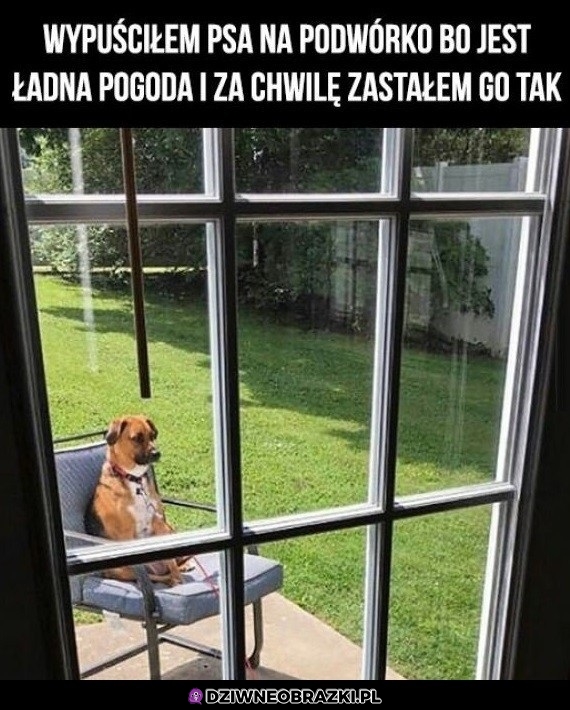 Chyba ma depresję