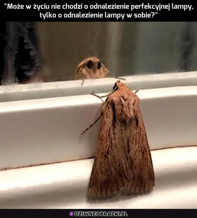 A może?