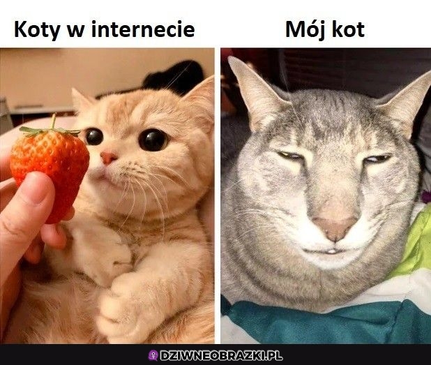 No cóż