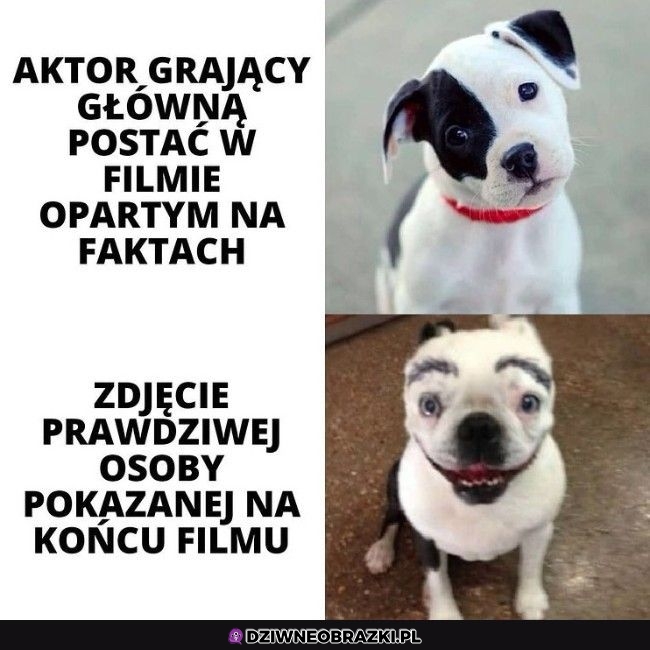 Zawsze to samo