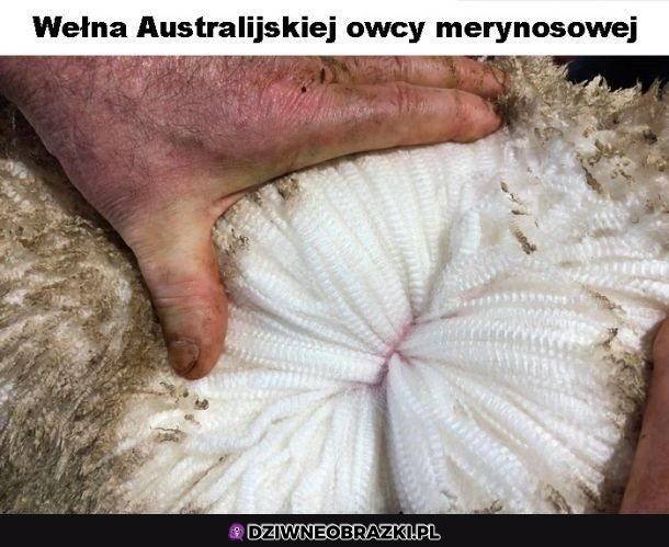 Ciekawy widok