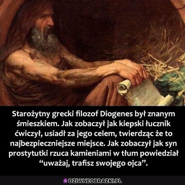 Śmieszek Diogenes