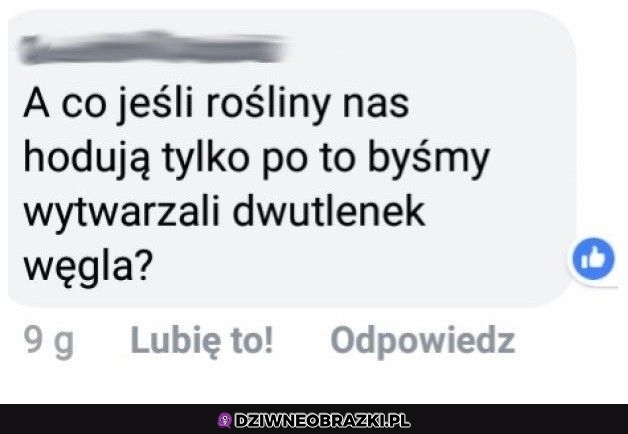 Pewnie tak właśnie jest