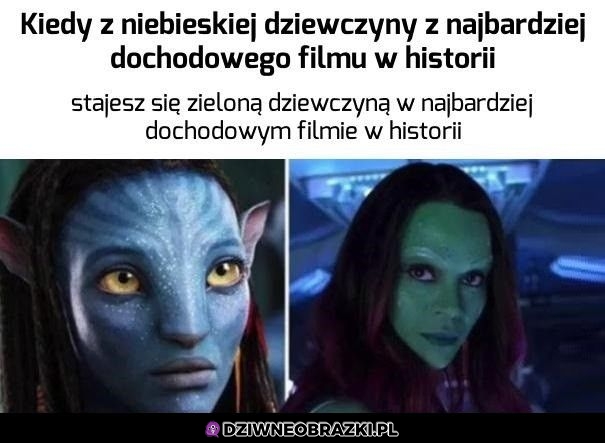 Ma to ogarnięte