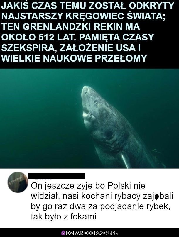 Staruszek