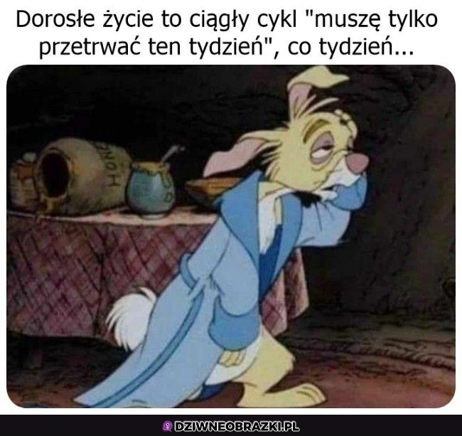 Tak wygląda dorosłe życie