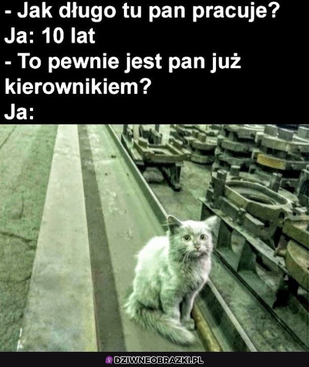 Że kim?
