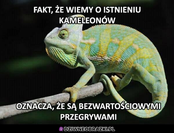 Kameleony