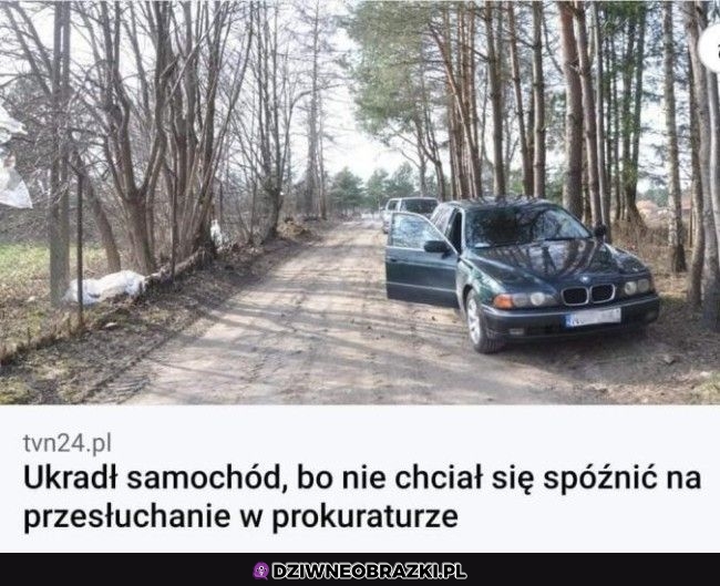 200 iq