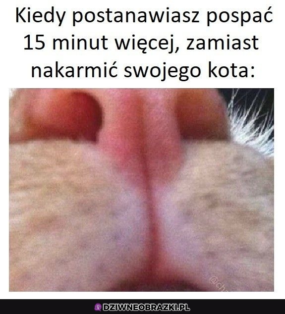 Ten moment