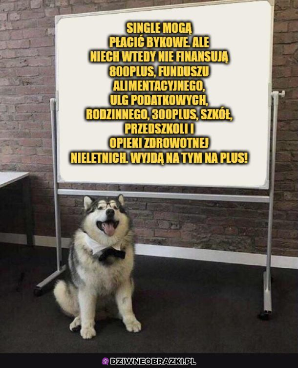 Prawda?