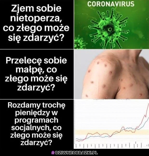 No co może pójść źle?