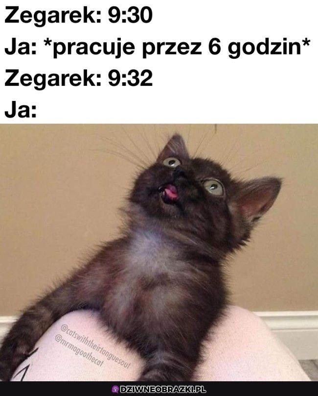 Praca taka jest