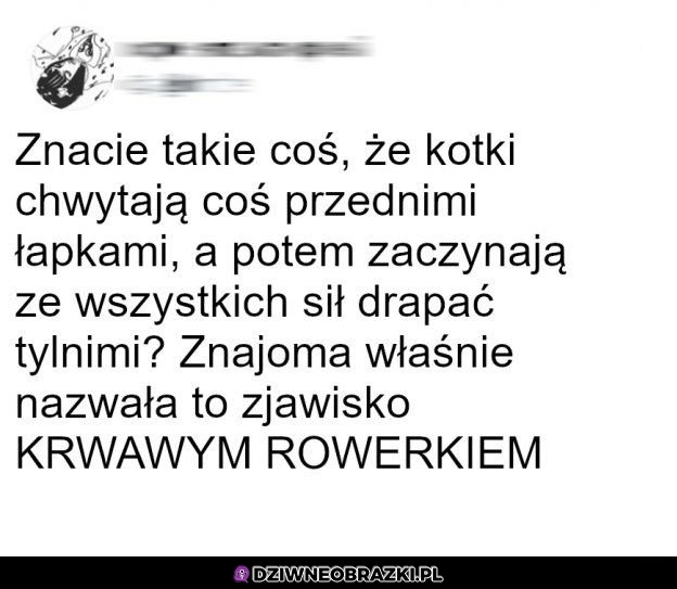 Takie zjawisko