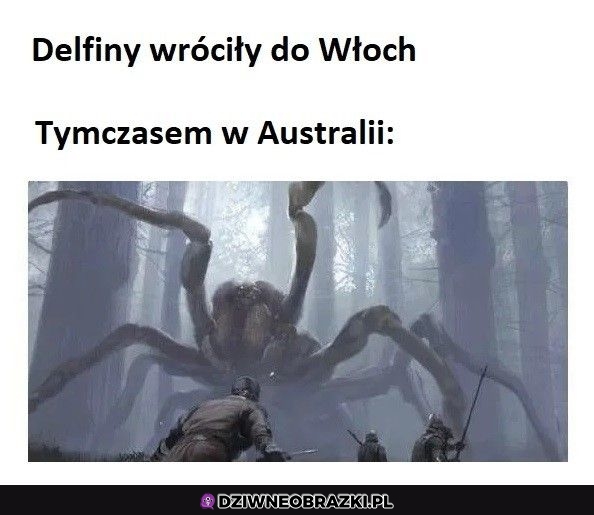 Wielkie powroty