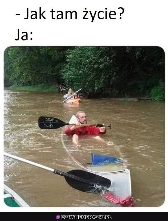 Jakoś leci, dzieki, że pytasz