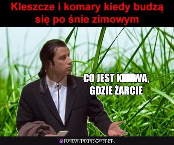 No gdzie są wszyscy
