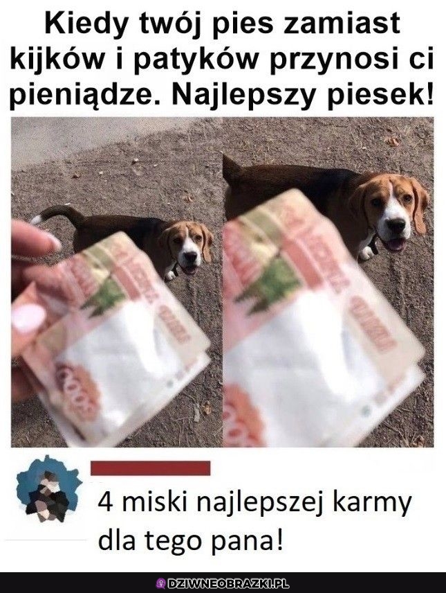 I to szanuję I to szanuję