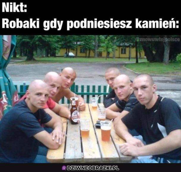 biba pod kamieniem