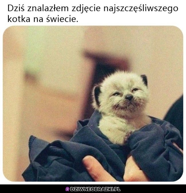 Potrzebujecie tego zdjęcia dzisiaj