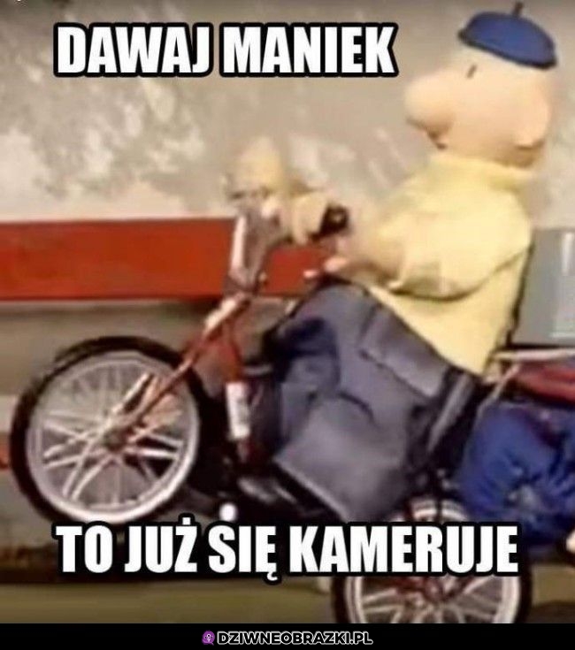 Dawaj maniek! 