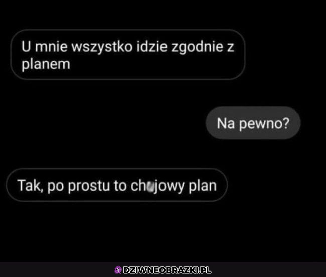 Zgodnie z planem