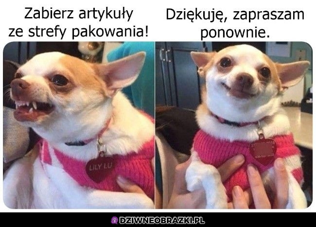 Kasy takie są