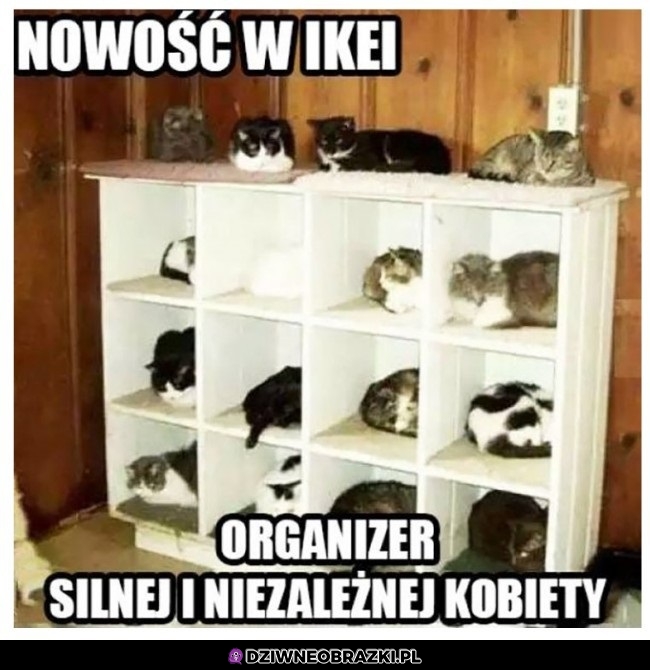 Organizer