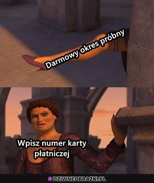 Pułapka