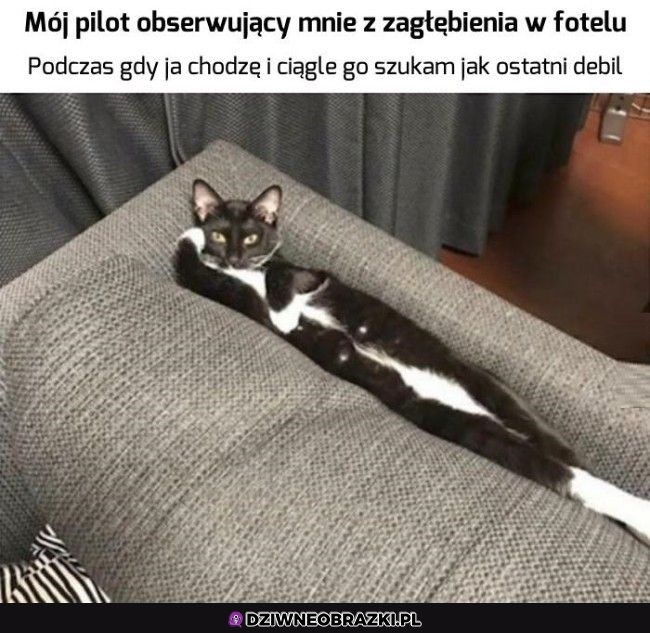 To o nim