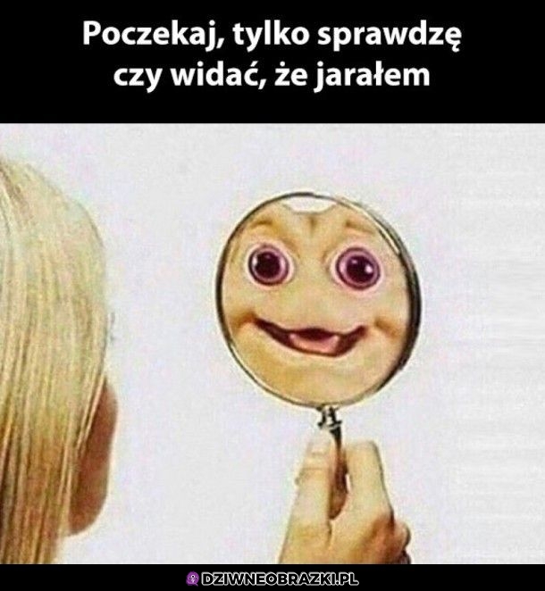 Wcale nie widać