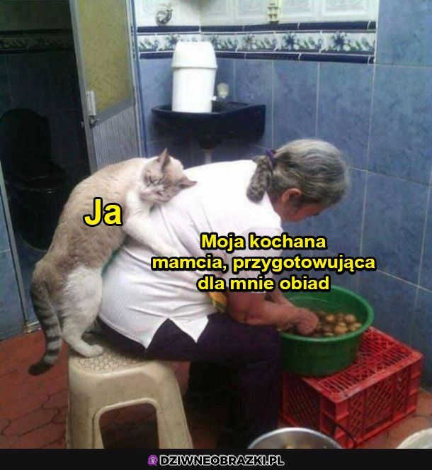 Mamusia