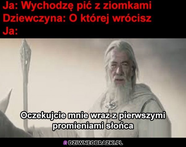 Oczekuj mnie