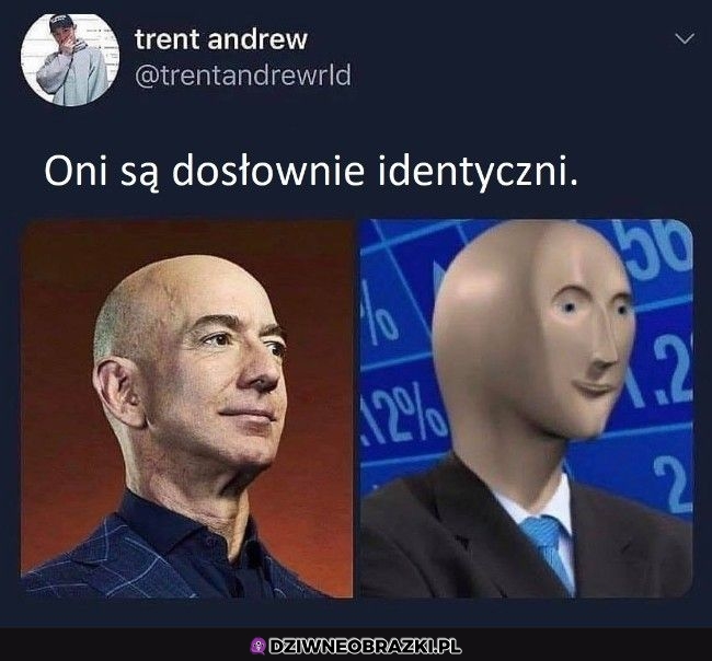 Całkiem podobni