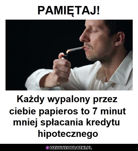 Złota rada