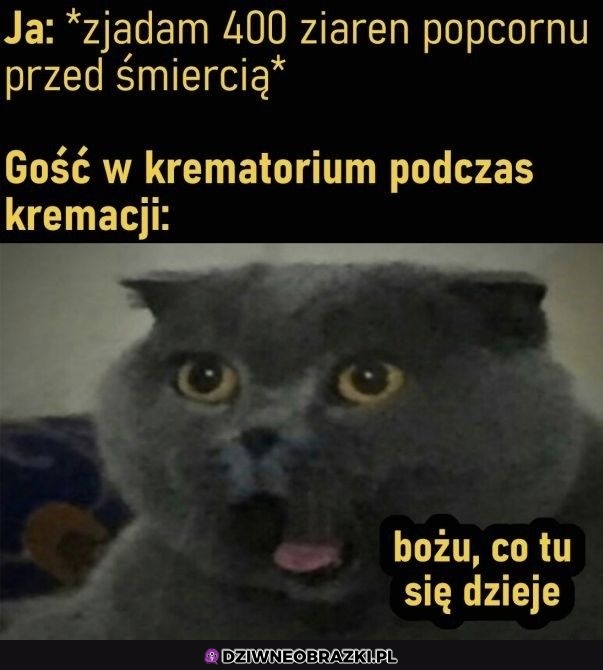 Ten moment