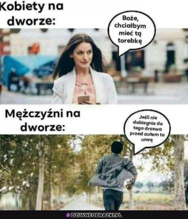 Co robią na dworze