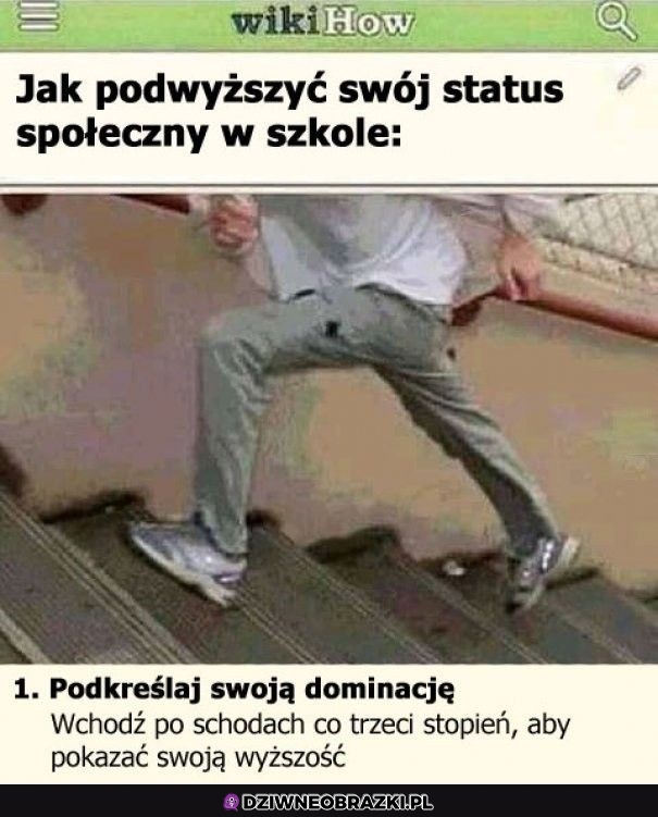 Znak dominacji