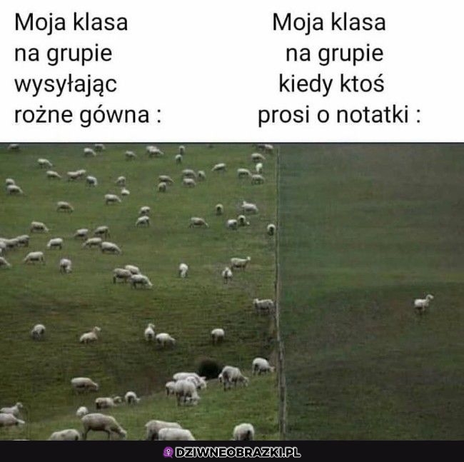 Za każdym razem