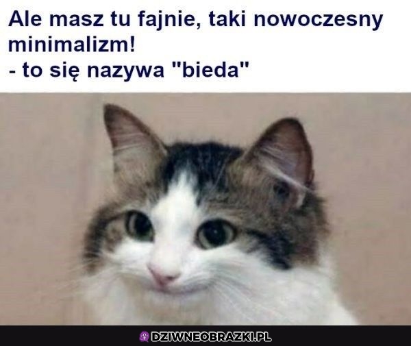 Nowoczesna bieda