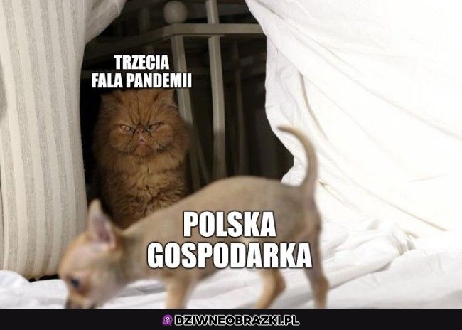 Już po niej
