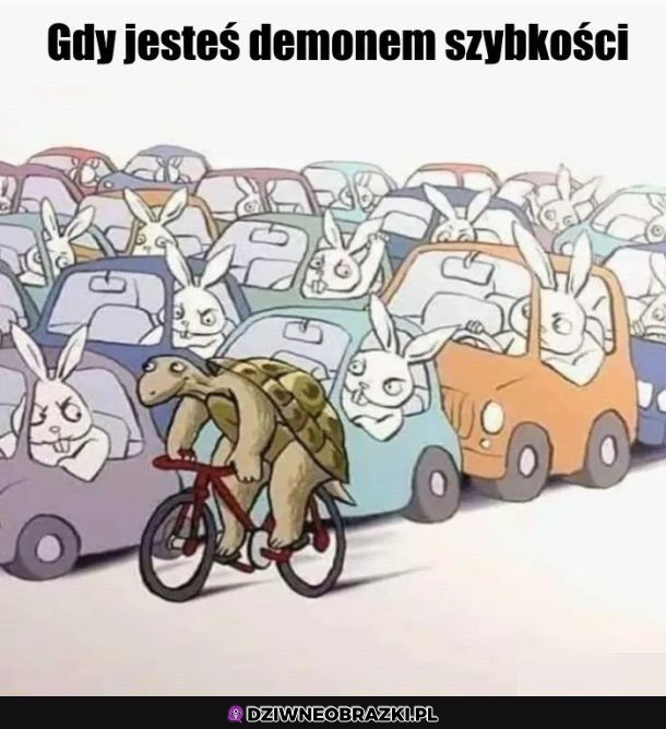 Tak bywa na mieście