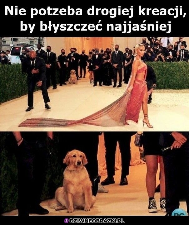 Największa gwiazda