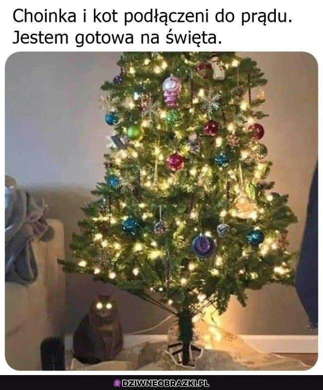 Gotowa na święta