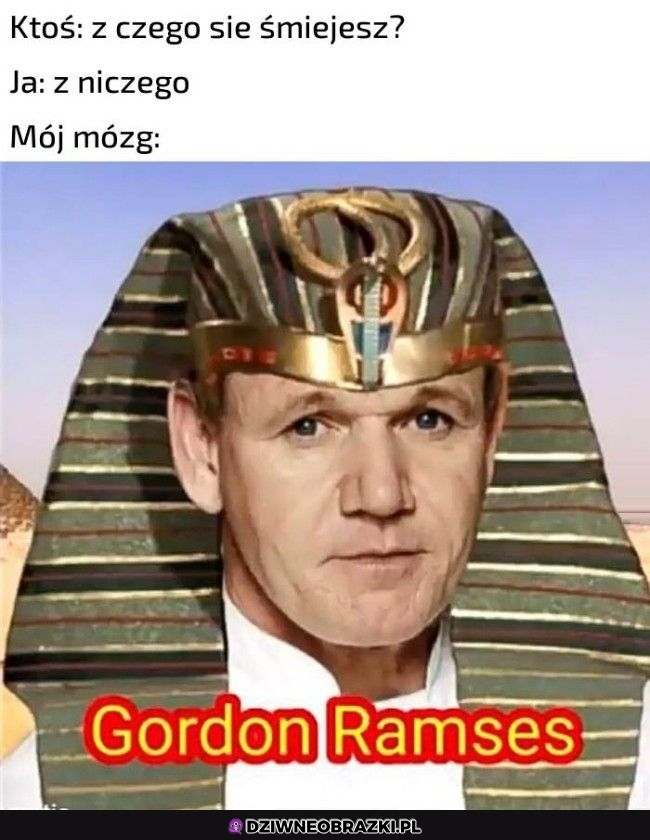 Tymczasem w moim mózgu