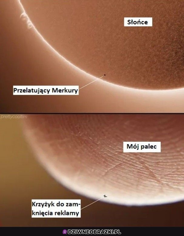 Najmniejsze na świecie