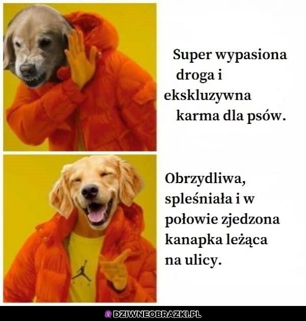 Wiadomo co lepsze