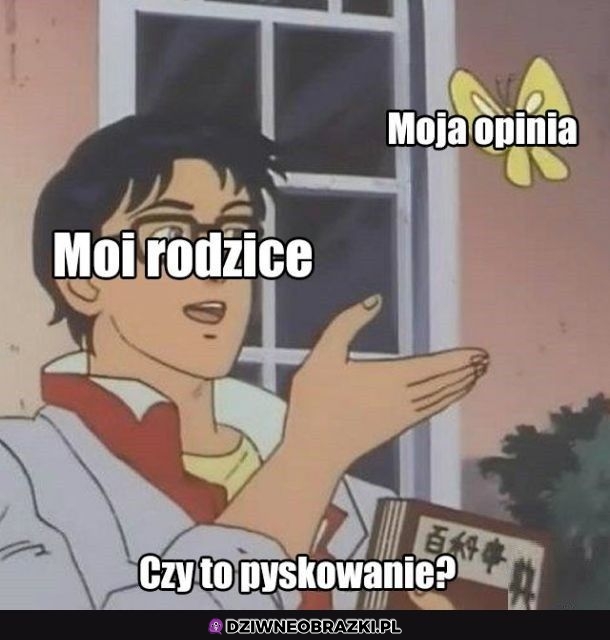 Kiedy mam swoje zdanie
