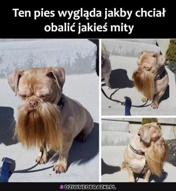 Wygląda znajomo
